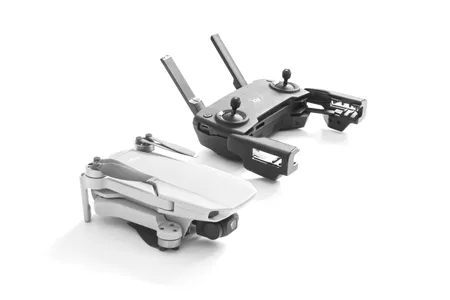 Mavic Mini 1